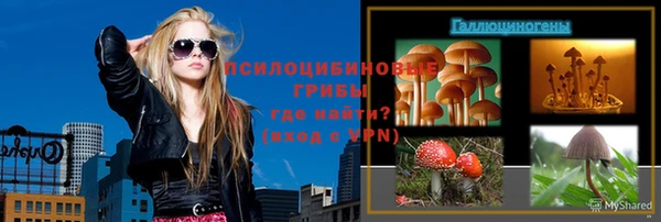 марки nbome Дмитриев