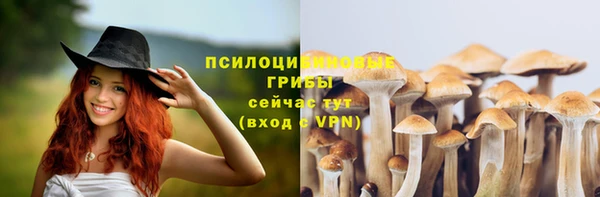 марки nbome Дмитриев