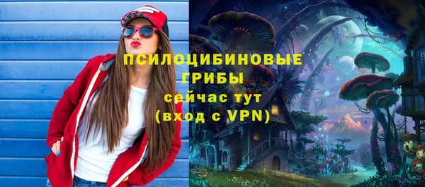 марки nbome Дмитриев