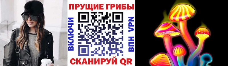 kraken   где купить наркоту  Полесск  Псилоцибиновые грибы мицелий 